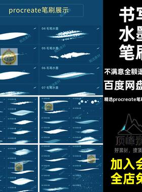 48款国画水墨笔刷书法晕染绘毛笔书写精选procreate笔刷.brushset