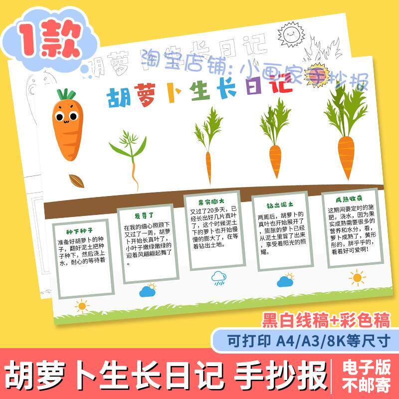 自然笔记手抄报胡萝卜的生长过程小报植物生长日记自然观察手抄报