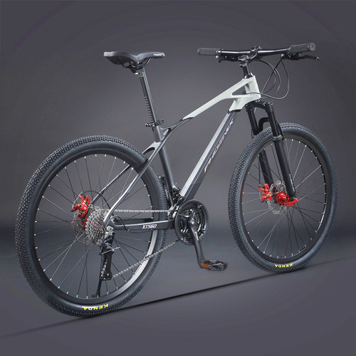 凤凰镁合金双碟刹男女学生山地车