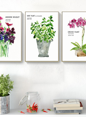 客厅装饰画北欧清新水彩花卉绿植酒店公寓民宿家装挂画跨境无框画