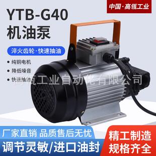 液压齿轮电动抽油泵12v24v220v自吸式不锈钢高粘稠度机油防爆380v