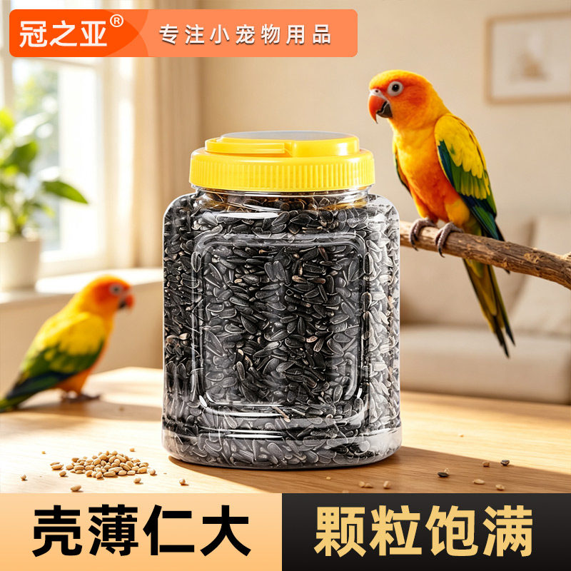 油葵鹦鹉瓜子瓜子鹦鹉粮葵花籽小太阳鹦鹉瓜子油葵五香油葵小瓜子