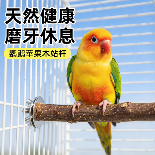 中小型鹦鹉通用苹果木磨爪站杆