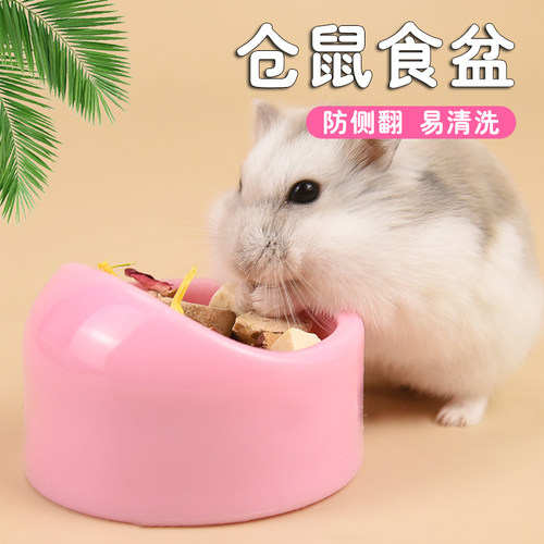 冠之亚仓鼠食盆防飞溅专用喂食器