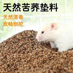 仓鼠垫料水洗苦荞麦砂荞麦壳消毒除臭四季通用金丝熊热天刨花垫料
