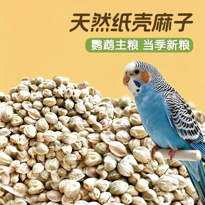 新麻子火麻籽仁鹦鹉奖励零食图片