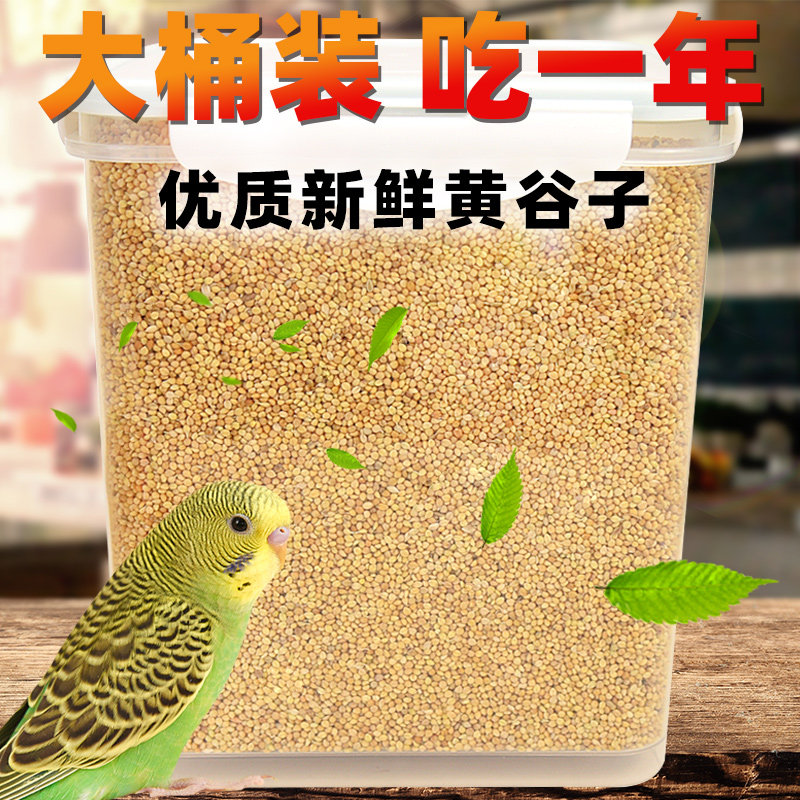 鹦鹉鸟粮黄谷子带壳小米鸟食鸟粮虎皮鹦鹉饲料专用粮食营养饲料