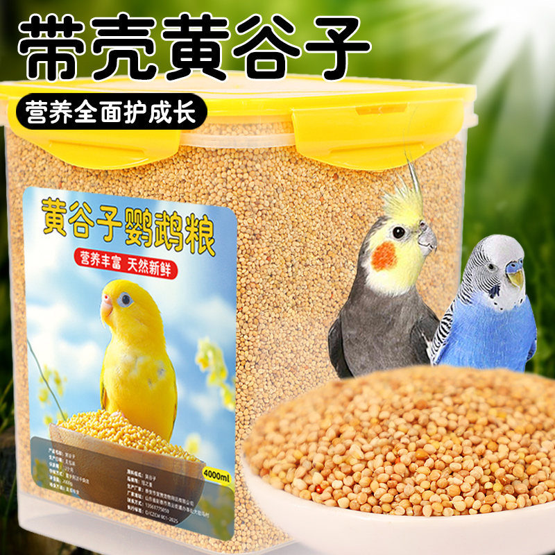 大颗粒黄谷子鹦鹉鸟粮饲料