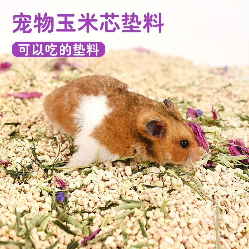 金丝熊玉米芯垫料夏天除臭兔子垫料木屑刺猬龙猫尿砂消暑用品