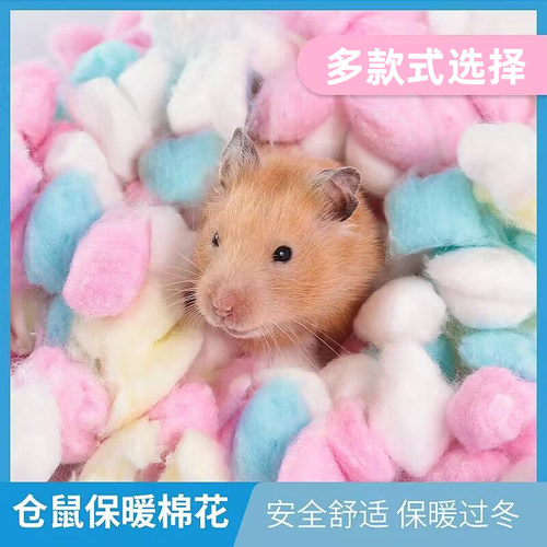 冠之亚仓鼠过冬保暖彩棉