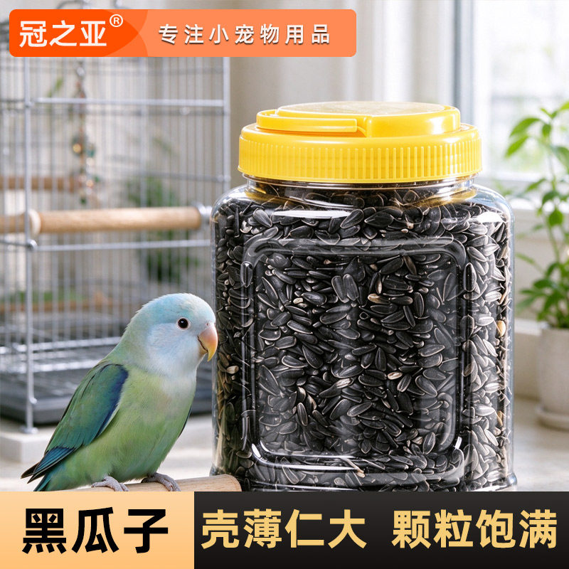 油葵瓜子鹦鹉专用小太阳牡丹玄凤油料葵花籽黑珍珠小零食鸟粮