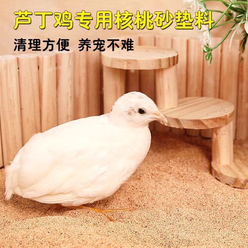 冠之亚芦丁鸡专用核桃砂垫料