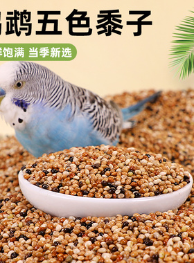 鹦鹉鸟粮饲料鸟食五色黍子带壳小米黄谷子玄凤虎皮牡丹珍珠鸟粮食