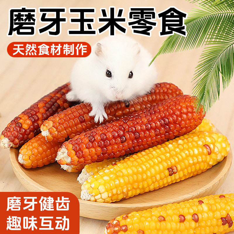 仓鼠磨牙玉米仓鼠磨牙零食磨牙棒金丝熊兔子磨牙小玉米粮食用品