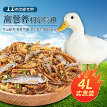 柯尔鸭专用营养均衡宠物饲养粮食鸭子饲料芦丁鸡小鹅零食生活用1