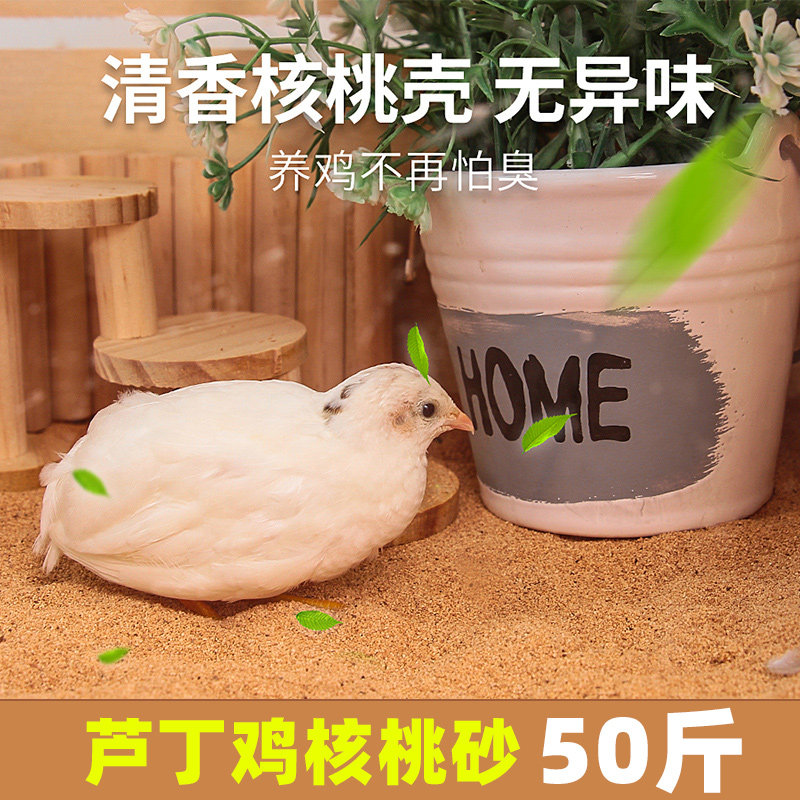 芦丁鸡除臭无尘垫料核桃砂发酵鹌鹑仓鼠用品芦丁鸡核桃砂发酵床
