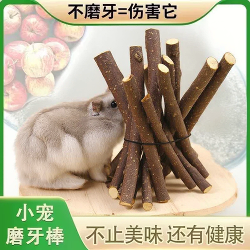 仓鼠磨牙苹果枝磨牙棒