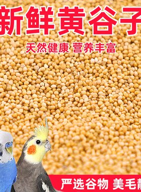 鸟粮新黄谷子中小型鹦鹉饲料食虎皮玄凤牡丹带壳小米食物粮食5斤