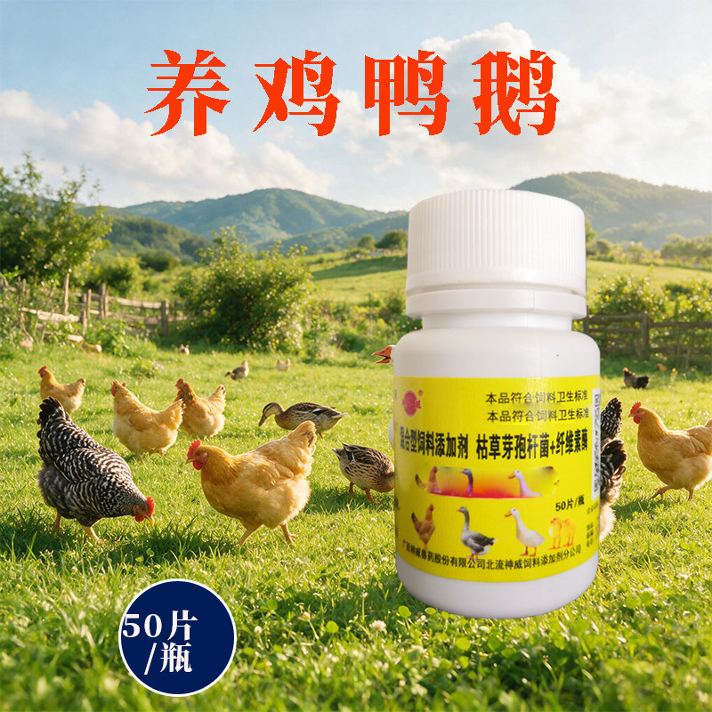 鸡用片 禽类急救 鸡鸭鹅鸽子养饲料添加剂