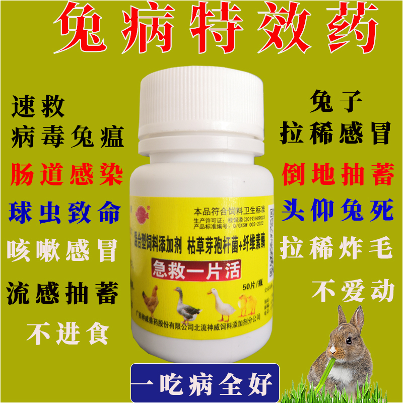 兔子常备药兔病预防感冒发烧腹胀稀腹拉稀专用药兔子全套宠物兔