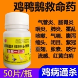 Птица с кусочками, чтобы спасти птицу -птицу, живую курицу, утку, кормление гусиного голубя, грипп, лихорадка, желтый и белый, респираторные тракты