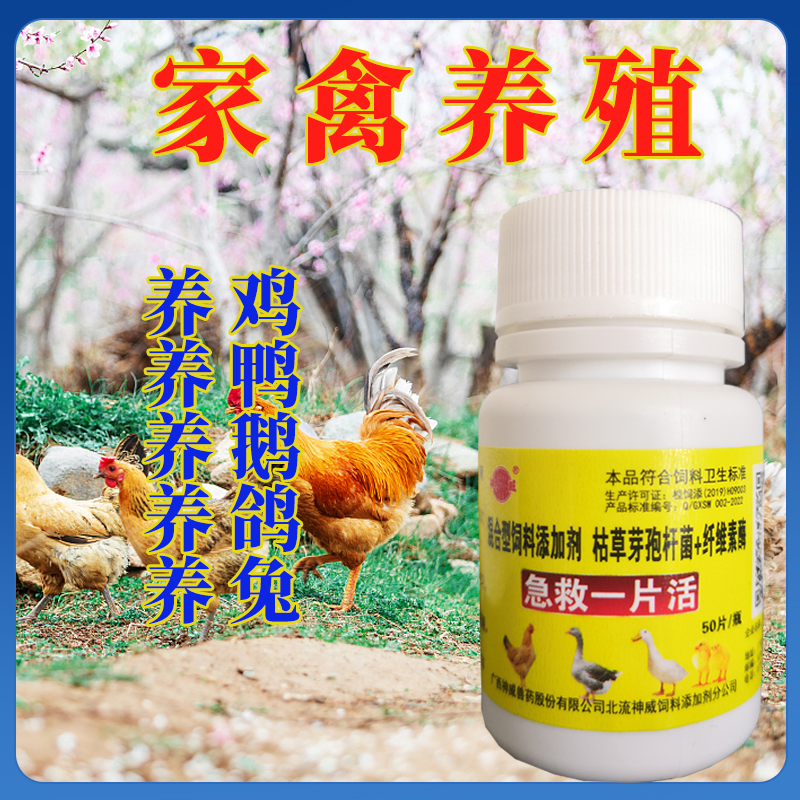 禽用鸡药片鸡鸭鹅鸽子用饲料