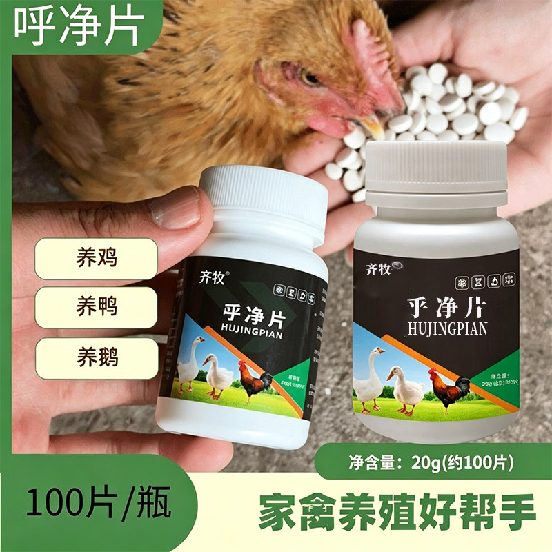 乎净片蛋鸡鸭鹅呼吸道添加剂