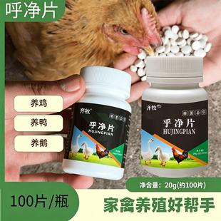 乎净片蛋鸡鸭鹅养殖产蛋期可用日常护理呼吸道家用散养全龄通用