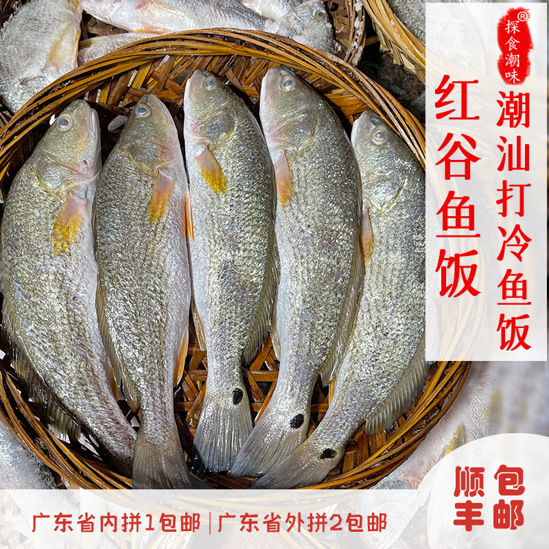 潮汕特产美食汕头打冷鱼饭红谷鱼饭痣鱼饭肉质紧实鲜嫩 顺丰包邮