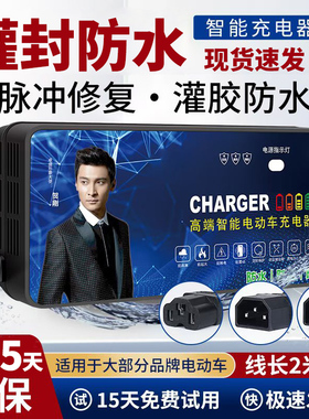 适用雅迪电动车电瓶车充电器48V12AH60V20AH72V20AH三轮快充通用