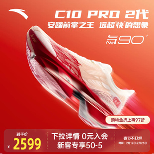 安踏×徐悲鸿奔马图联名丨天马行空系列C10 PRO 2代马拉松跑鞋男