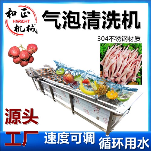 板栗清洗设备商用全自动气泡清洗机小白菜青椒莴笋板栗清洗机