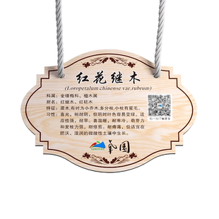 树牌挂牌定做学校公园植树节插地牌设计植物绿化信息牌树木介绍悬挂标识牌亚克力树牌爱护花草树木提示牌定制