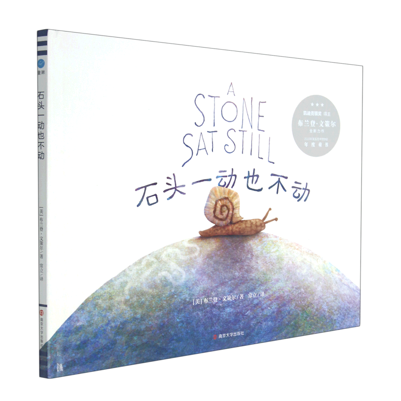 石头一动也不动