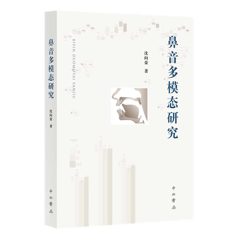 鼻音多模态研究