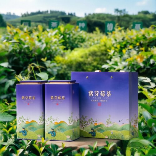 张家界芽尖莓茶养生铁罐防压