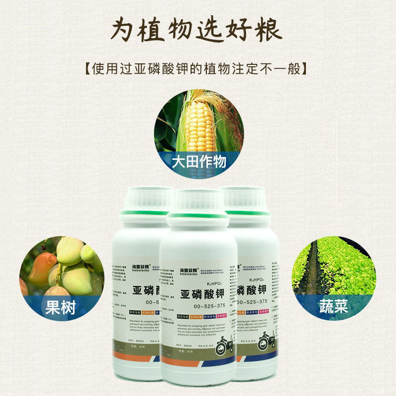 以色列进口亚磷酸钾水溶肥叶面肥保花保果膨果着色控稍控旺