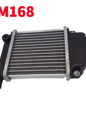 适用于铃木VARIO 110 VARIO摩托车散热器水箱VARIO110 VARIO
