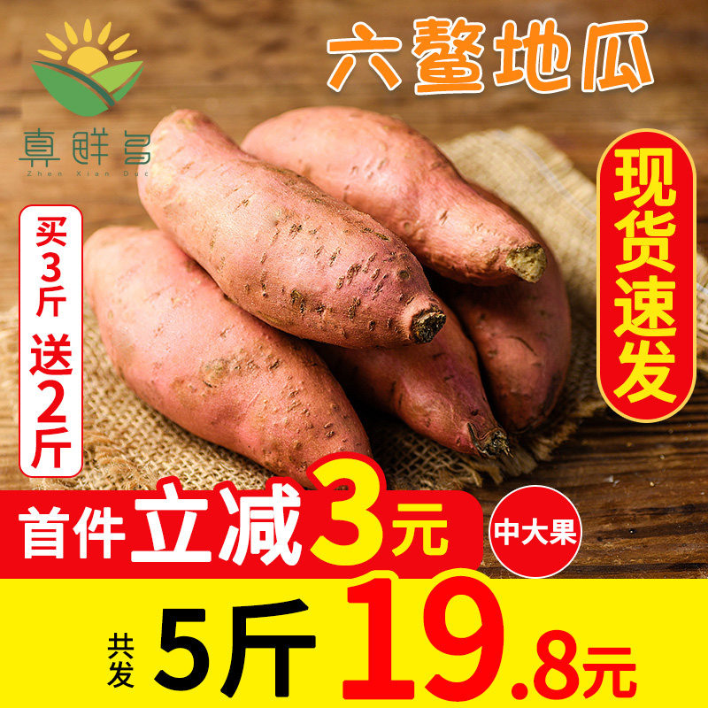 真鲜多福建六鳌沙地黄心红薯新鲜农家地瓜现挖板栗红薯番大果5斤