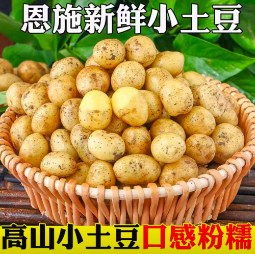 湖北恩施高山土豆新鲜粉糯小土豆农家新挖自种马铃薯迷你洋芋香甜