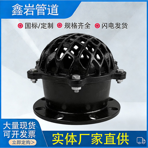 H42X-10/16法兰底阀铸铁吸水阀