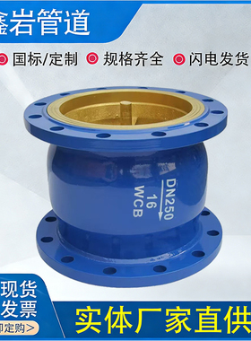 HC41X-16法兰消声止回阀 碳钢立式单向逆止阀DN65 80 100 150 200