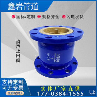 HC41X-16法兰消声止回阀 刚体立式单向逆止阀DN65 80 100 150 200