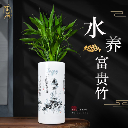 景德镇陶瓷器富贵竹花瓶水培中式水培竹子大瓷瓶客厅插花装饰摆饰