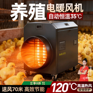 养殖场专用电热恒温暖风机鹦鹉取暖设备育雏恒温加热器保温热风炉