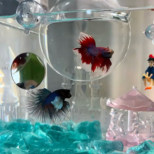 泰国斗鱼城堡旋转木马水晶石 圆形玻璃缸 造景微景观桌面缸