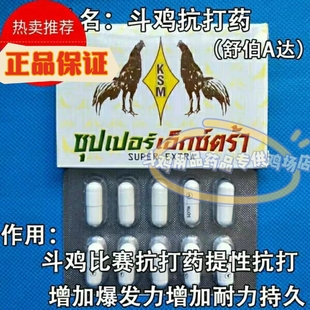 斗鸡开打斗鸡抗打药斗鸡斗鸡大赛抗打药斗鸡比赛药斗鸡训练