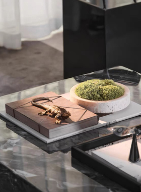 苔藓现代橱柜真盆栽极简蜥蜴饰品大理石摆件展厅茶几样板间客厅