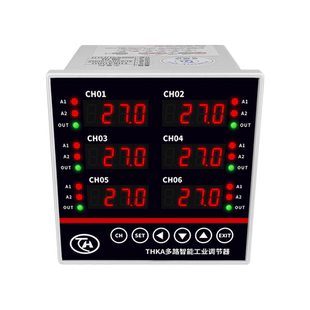辉控THKA多路温控器2路3路4路6路温控仪多通道温度智能控制仪表