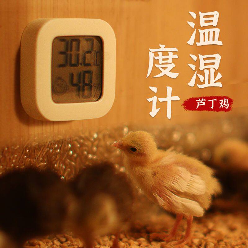 芦丁鸡温度计用品养鸡育雏鸡舍鸡场温度计卢丁鸡养殖鸡孵化温湿度